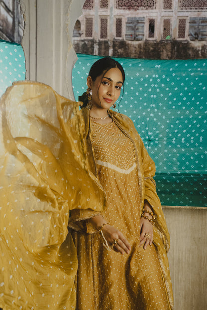 YELLOW CHANDERI ABHA SET